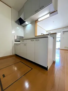 アルカディア Iのキッチン