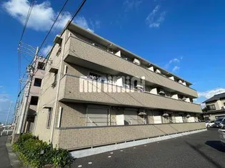 QUEEN'S ISLANDの画像