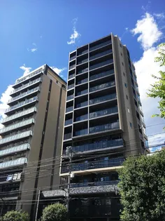 牛込柳町駅徒歩5分 分譲 ペット可 南向き 角部屋 築浅【11階】の外観