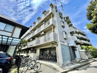 アボニンサカエの画像