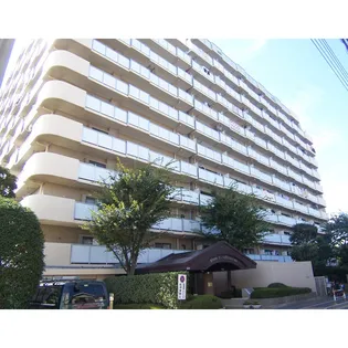 ライオンズプラザ北綾瀬(010411)【10階】の外観