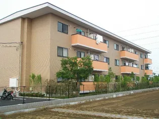 パインウッドの画像