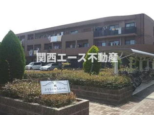 シャトールミエールの画像