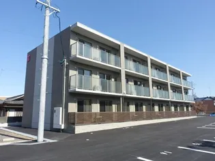 アステローペASTEROPEの画像