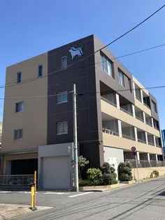 カーロヴィレッタ2の画像