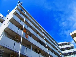 CLEAR TSUKAMOTOの画像