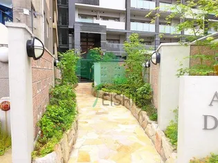 アルファシオディクレイヴの画像