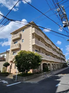 ジェイ ジルーBの画像