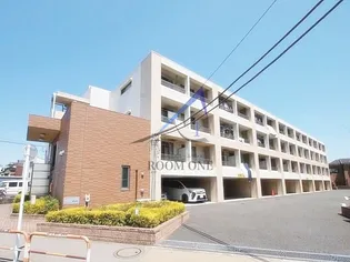 シャルマン青井の画像