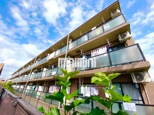 カームヤタ藤第三の画像