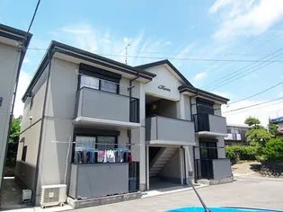 サンライトの画像