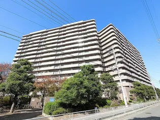 フルレ歌島の画像