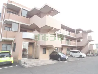 コートカメリアの画像