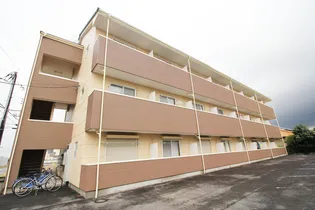 群馬県佐波郡玉村町大字下新田【マンション】の外観