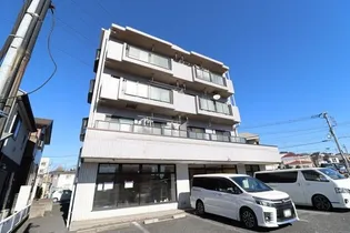 ヴェルドミールの画像