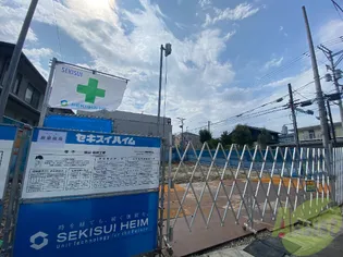 STELLA DE LUXの画像