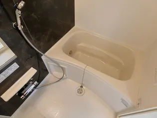 バレンティーノ46【2階】の風呂