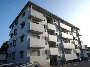 サクラヒルの画像