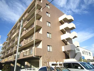 セジュールコートの画像