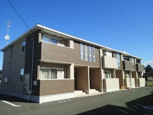 ヴィオラCの画像