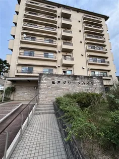 松戸グリーンハイツの画像