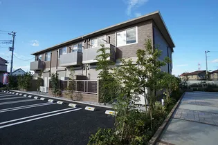 セルディーナ Aの画像