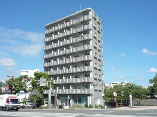 ヨーロピア高麗【9階】の外観