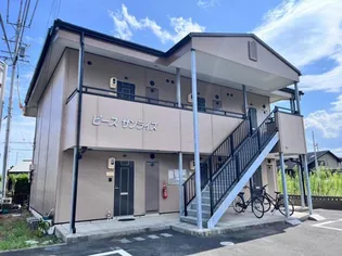 ピースサンライズの画像