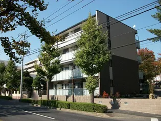 レオネクストパルテノン山王の画像