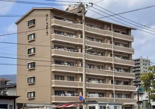 サンフローラの画像