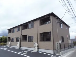 アンジンの画像
