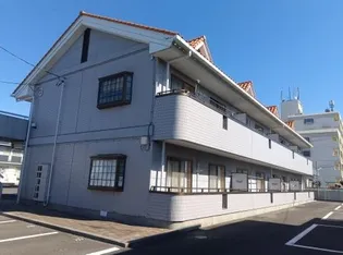 ルピナスの画像