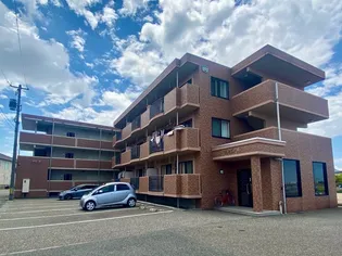 ルミエールの画像