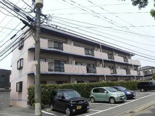 ピーチフローレⅤの画像