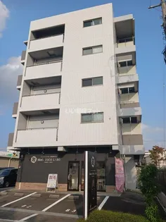 イムズ コスモスの画像