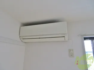 CASA茉莉花2【1階】の内装