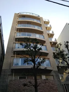 パレステュディオ上池台の画像