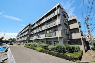 フラットマジョールIIの画像