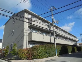 サンライズミナミの画像