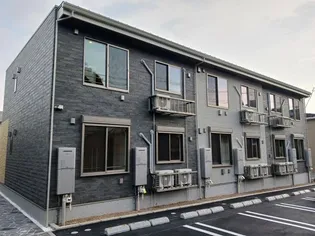 セルツNの画像