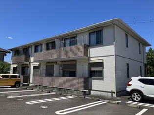 シャルムCの画像
