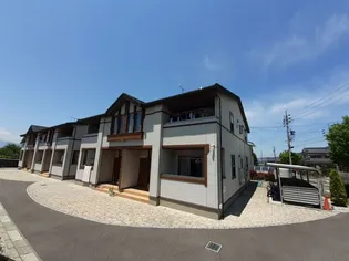 プラシードM2の画像