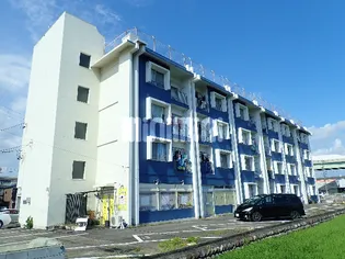 メゾン・ド・タマキ【3階】の外観