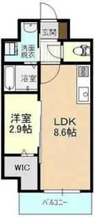 IRMSIII【1階】の間取り