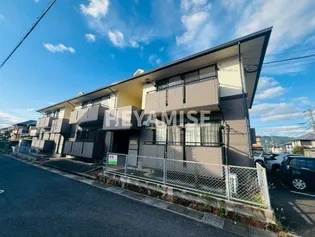 ハイカムールはたぐちBの画像