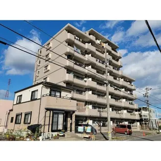 サザンコスモの画像