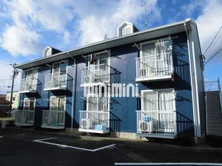 エル美ABの画像