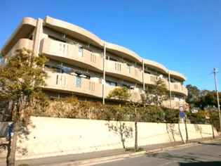 シャングリラVIの画像