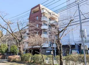 ドムス セラシィの画像