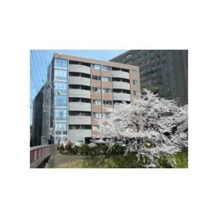 アルジェントルーチェの画像